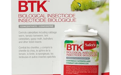 Les insecticides biologiques