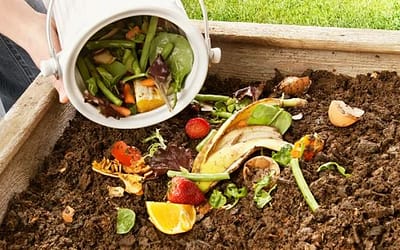 Le compostage ; le dernier recours pour éviter le gaspillage